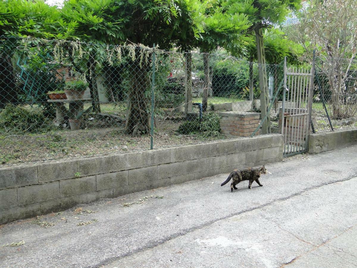 Via Del Toppo, 4 Perugia Dış mekan fotoğraf
